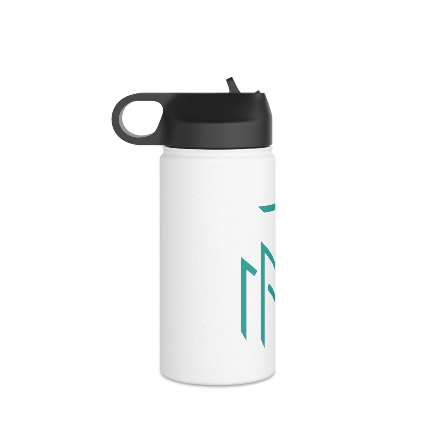 Stainless Steel Water Bottle, Standard Lid